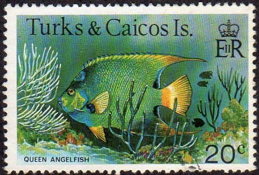 Turks and Caicos 369 - Used - 20c Queen Angelfish (1978-79) (cv $0.40)