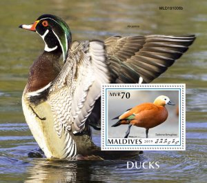 Maldives 2019 MNH Birds Stamps Ducks Ruddy Shelduck Wood Duck 1v S/S