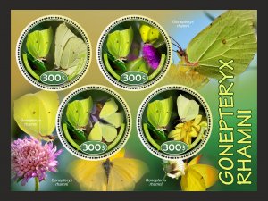 Stamps.Fauna, Butterflies  2025 year 8 sheets perforated