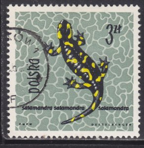 Poland 1144 Fire Salamander 1963