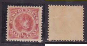 Newfoundland-Sc#57-id173-unused og hinged 1/2c orange red Dog-well centered-1896