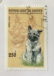 Guinea 1996 Scott 1341 CTO -  250fr, Dogs, Elkhound