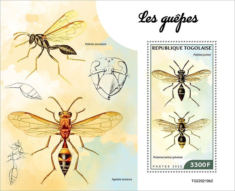 2022/06 - TOGO  - WASPS II        1V  complet set   MNH ** T