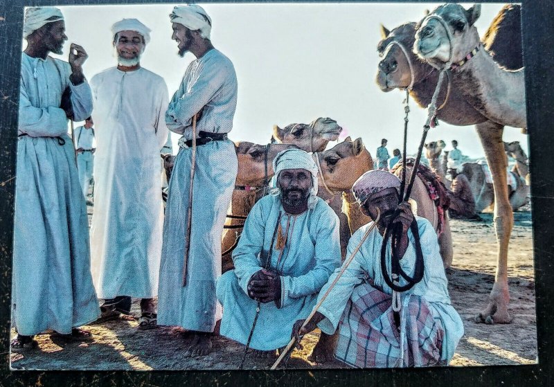 INTERESTING OMAN 1992 “CAMEL RIDERS” POST CARD TO USA HARD TO FIND