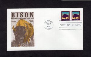3468 American Buffalo, pair FDC Artmaster