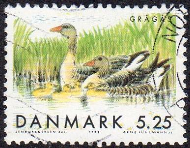 Denmark 1164 - Used - 5.25k Gray-lag Geese (1999) (cv $1.15)