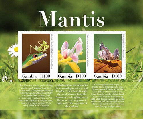 2020/08- GAMBIA - INSECTS MANTIS       3V complet set    MNH ** T