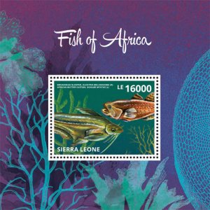Sierra Leone- Fish of Africa Stamp - Souvenir Sheet MNH