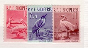 ALBANIA Sc 592-4 NH ISSUE OF 1961 - BIRDS