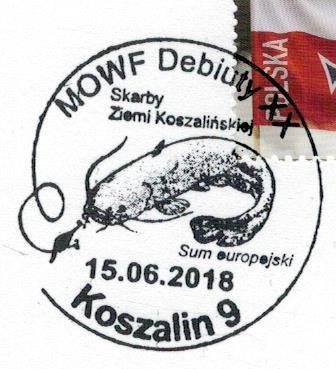 Poland 2018 Card Special Cancellation Fish Wels catfish