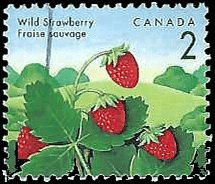 CANADA   #1350 USED (7)