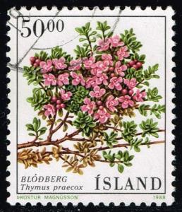 Iceland #664 Creeping Thyme Flower; Used