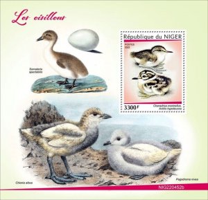 Niger - 2022 Baby Birds, Dotterel, Sandpiper - Stamp Souvenir Sheet - NIG220452b