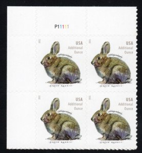 SC# 5544 - (20c) - Additional Ounce, Brush Rabbit - MNH plate Block of 4