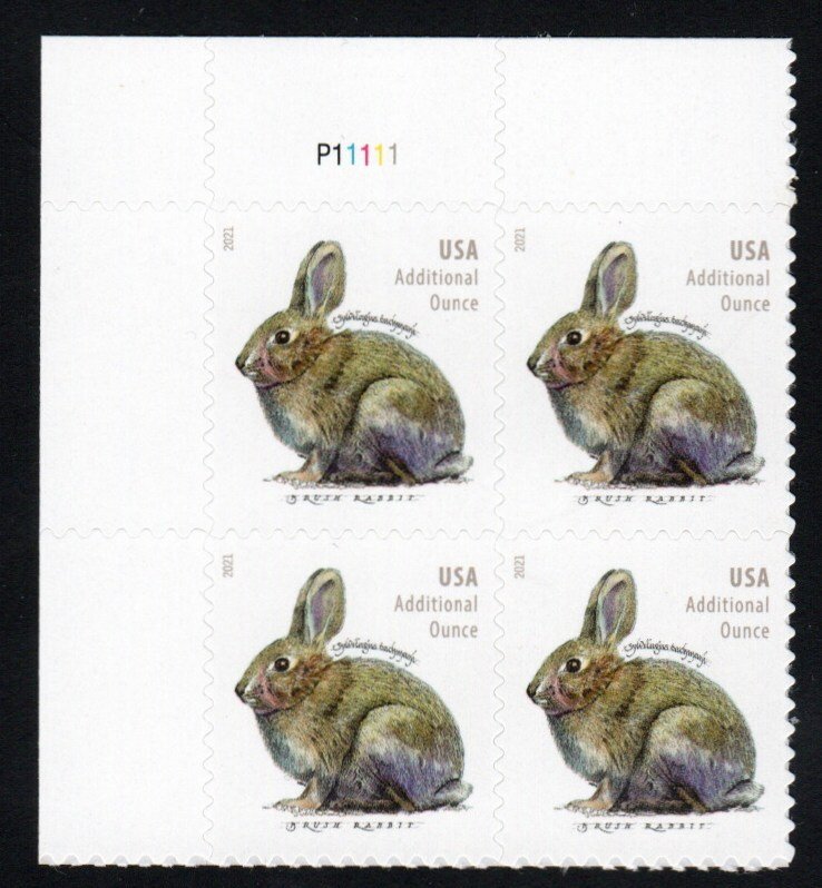 SC# 5544 - (20c) - Additional Ounce, Brush Rabbit - MNH plate Block of 4