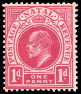 Natal Scott 82 Unused hinged.