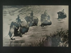 1941 Ceylon RPPC postcard Cover to USA Censored Temple Elephants Crossing River