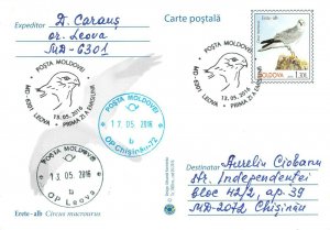 Moldova 2016 PSC birds of prey stamps with FD Cancel Pallid harrier 