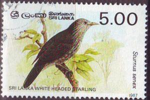 CEYLON SRI LANKA [1987] MiNr 0790 I ( O/used ) [La] Vögel