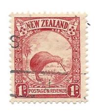 1p copper red Kiwi & Cabbage Palm - re-engraved