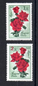 HUNGARY - 1961 - FLOWERS - ROSES -