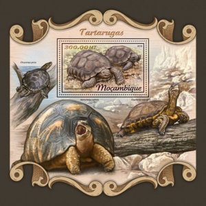 Mozambique - 2018 Turtles & Tortoises - Stamp Souvenir Sheet - MOZ18112b