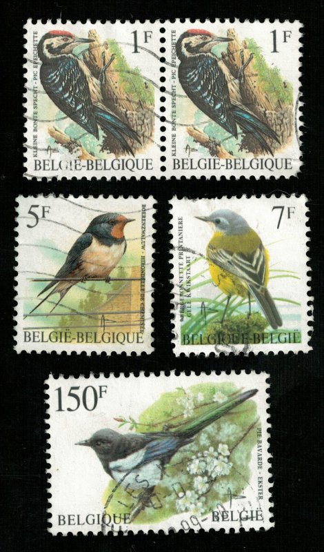 Birds, (3294-T)