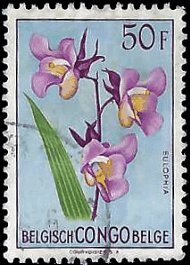 BELGIAN CONGO   #283 USED (3)