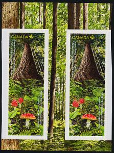 Canada 2462-3 gutter pr MNH Trees, Mushrooms, International Year of the Forests