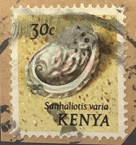 Kenya 1971  Scott  40 used on paper - 30c, Sea Shells