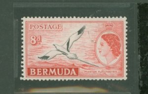 Bermuda #153  Single