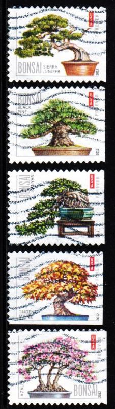 #4618 - 4622 Bonsai Trees (Off Paper) - Used