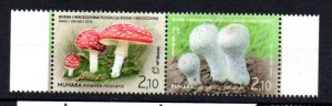 BOSNIA-HERZEGOVINA - MOSTAR - 2010 - MUSHROOMS -