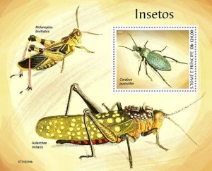 St Thomas - 2021 Insects, Ground Beetle - Stamp Souvenir Sheet - ST210216b