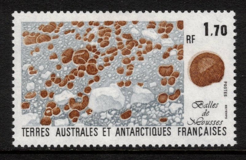 FRENCH ANTARCTIC 1991 Moss; Scott 159, Yvert 156; MNH