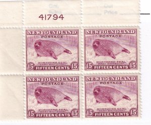 NEWFOUNDLAND PLATE BLOCKS OF 4 PLUS BLOCKS OF 4 CAT VALUE ????? 