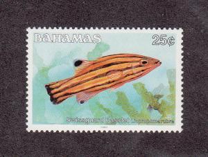 Bahamas Scott #608 MNH