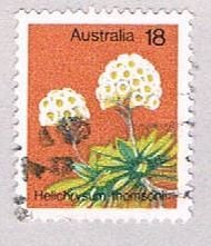 Australia Flower 18 (AP119701)