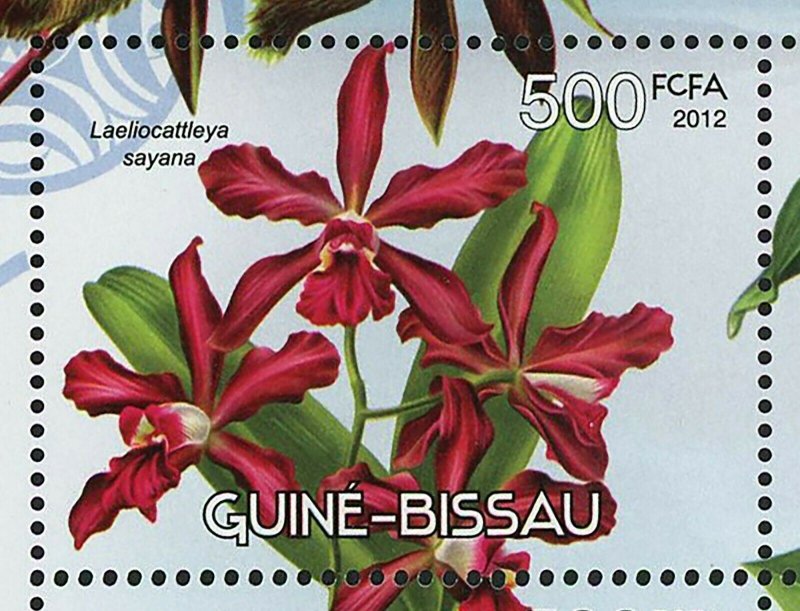 Orchids Stamp Flowers Laeliocattleya Sayana Souvenir Sheet MNH #6052-6055