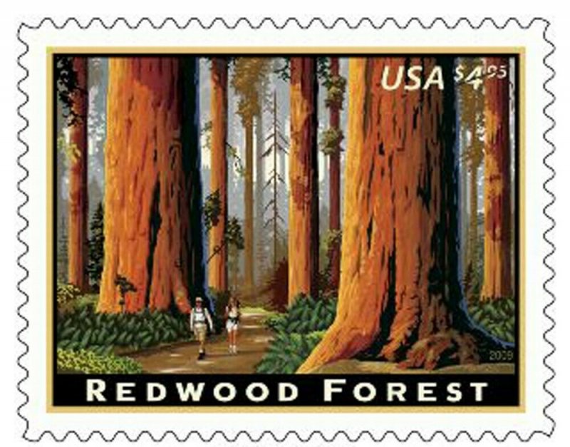 Redwood Forest Issue 2009 $4.95 Priority Mail Single Stamp Scott 4378