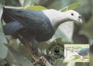 Tokelau 1995 Maxicard Sc #204 25c Pacific Imperial pigeon WWF