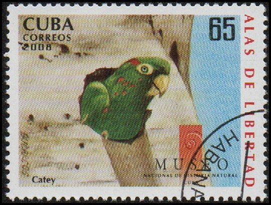 Cuba 4829 - Cto - 65c Cuban Parakeet (2008) (cv $1.35)
