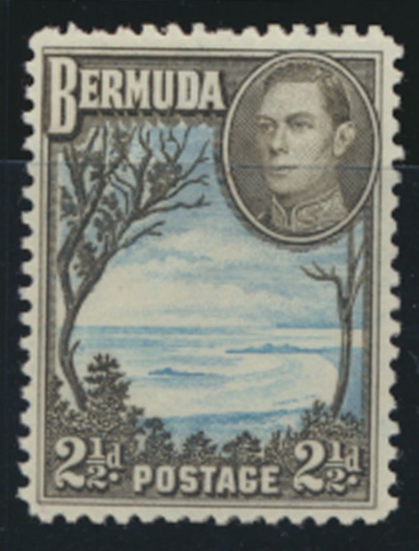 Bermuda  SG 113a perf 11.9  SC# 120A MNH Grape Bay  see details and scans