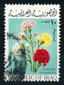 Iraq #529 Single Used