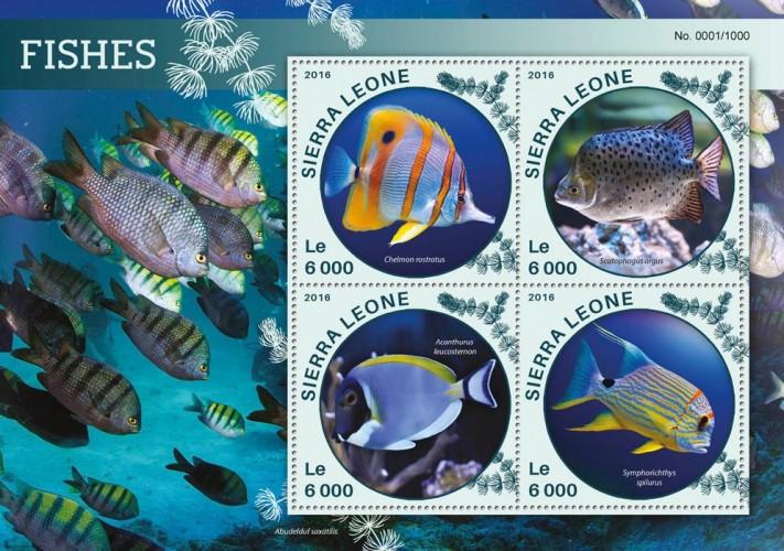 SIERRA LEONE 2016 SHEET FISHES MARINE LIFE srl16112a