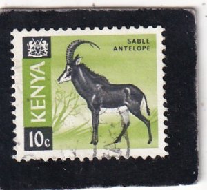 Kenya   #    21    used