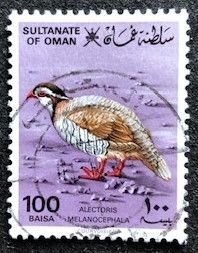 Oman 233 Used