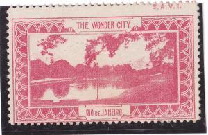 Brazil rio de janeiro ca1900 CINDERELLA POSTER STAMP