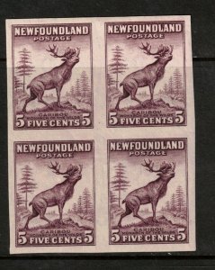 Newfoundland #190a Extra Fine Mint Imperf Block **With Certificate** 