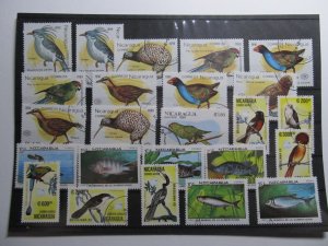 Nicaragua Birds Stamps Latin America l'Amerique latine Südamerika LR321-